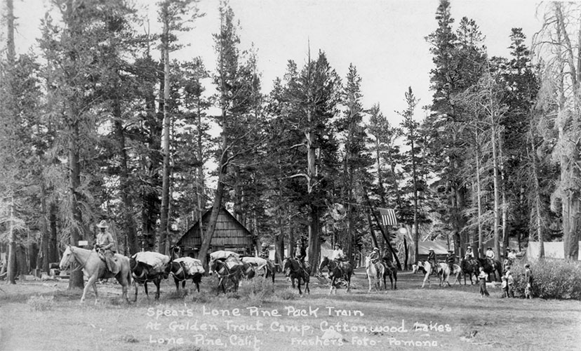 lone pine pack train